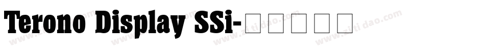 Terono Display SSi字体转换